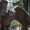 The bronze owl statue in O'Connor Plaza on Main Campus. It's wings are raised and open as if it is ready to take flight.