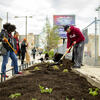 Temple students work to beautify North Broad Street by planting gardens