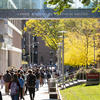 Students walking down Polett Walk on Main Campus on a sunny spring day