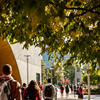 Students walking on Main Campus on a sunny fall day 