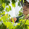 A Temple Ambler Campus student researching plant life at the campus' arboretum